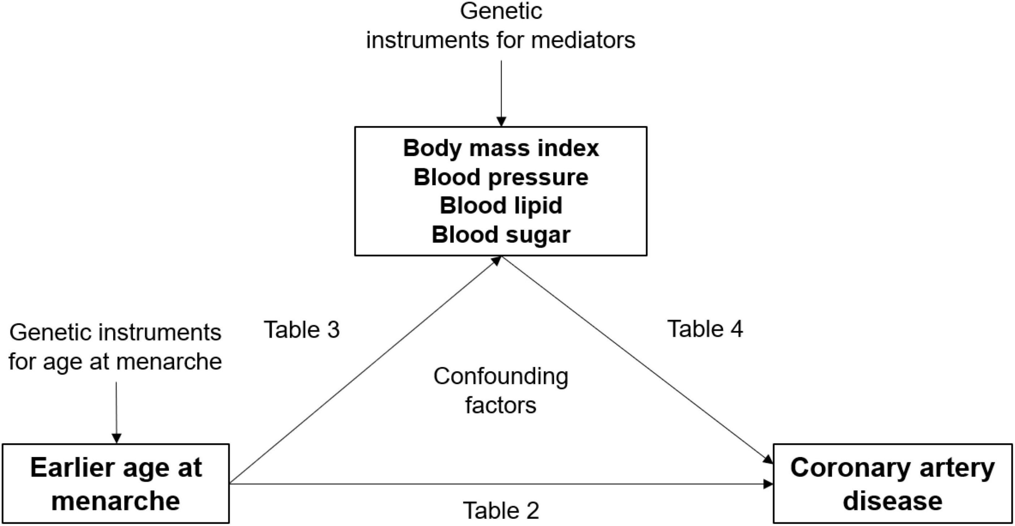 Systolic blood pressure as the mediator of the effect of early menarche on the risk of coronary artery disease: A Mendelian randomization study